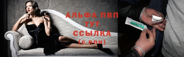 твердый Магас