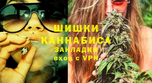 твердый Магас