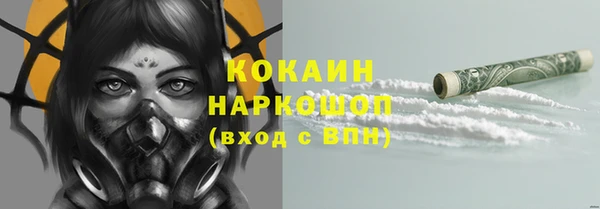 твердый Магас