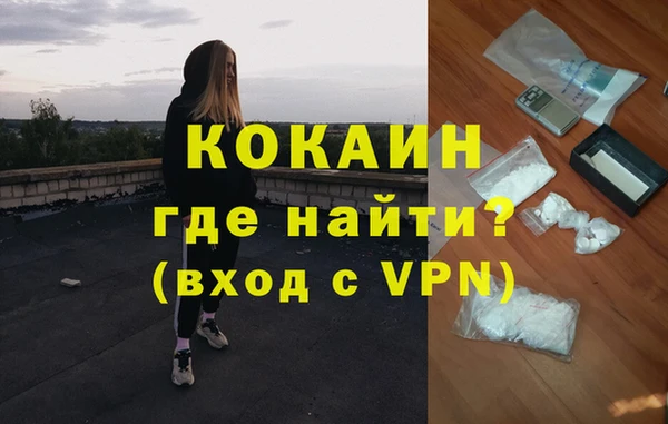 твердый Магас