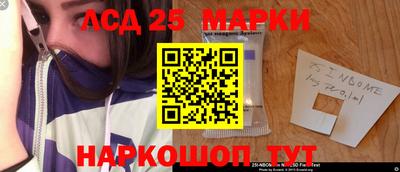 крисы Кандалакша