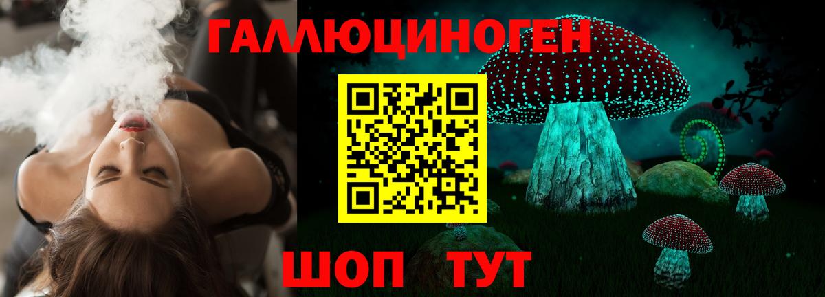 Псилоцибиновые грибы Cubensis Строитель